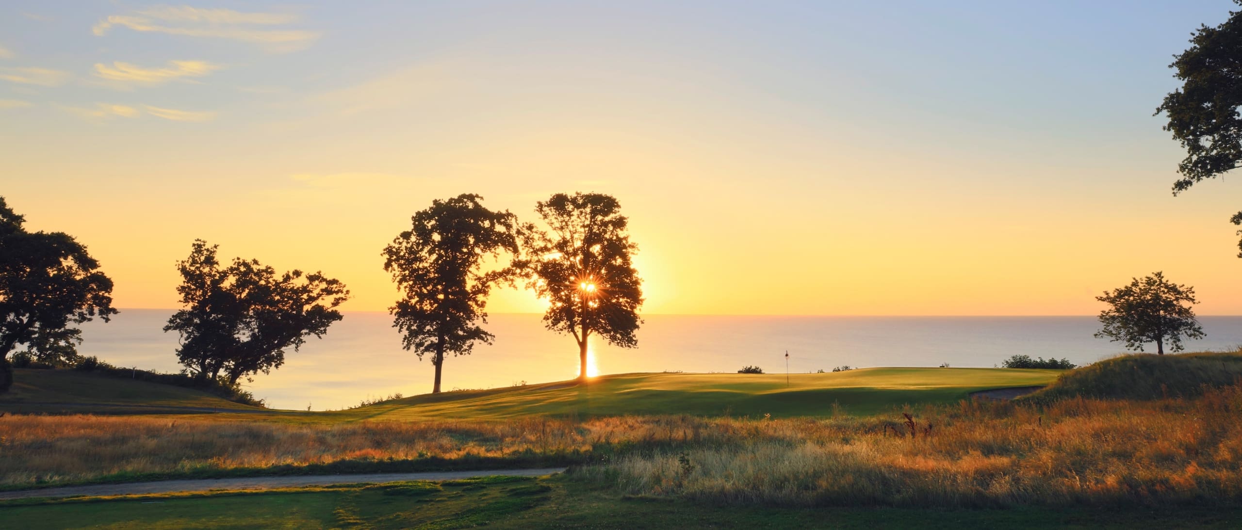 (C) Jacob Sjöman. jacob@sjomanart.com