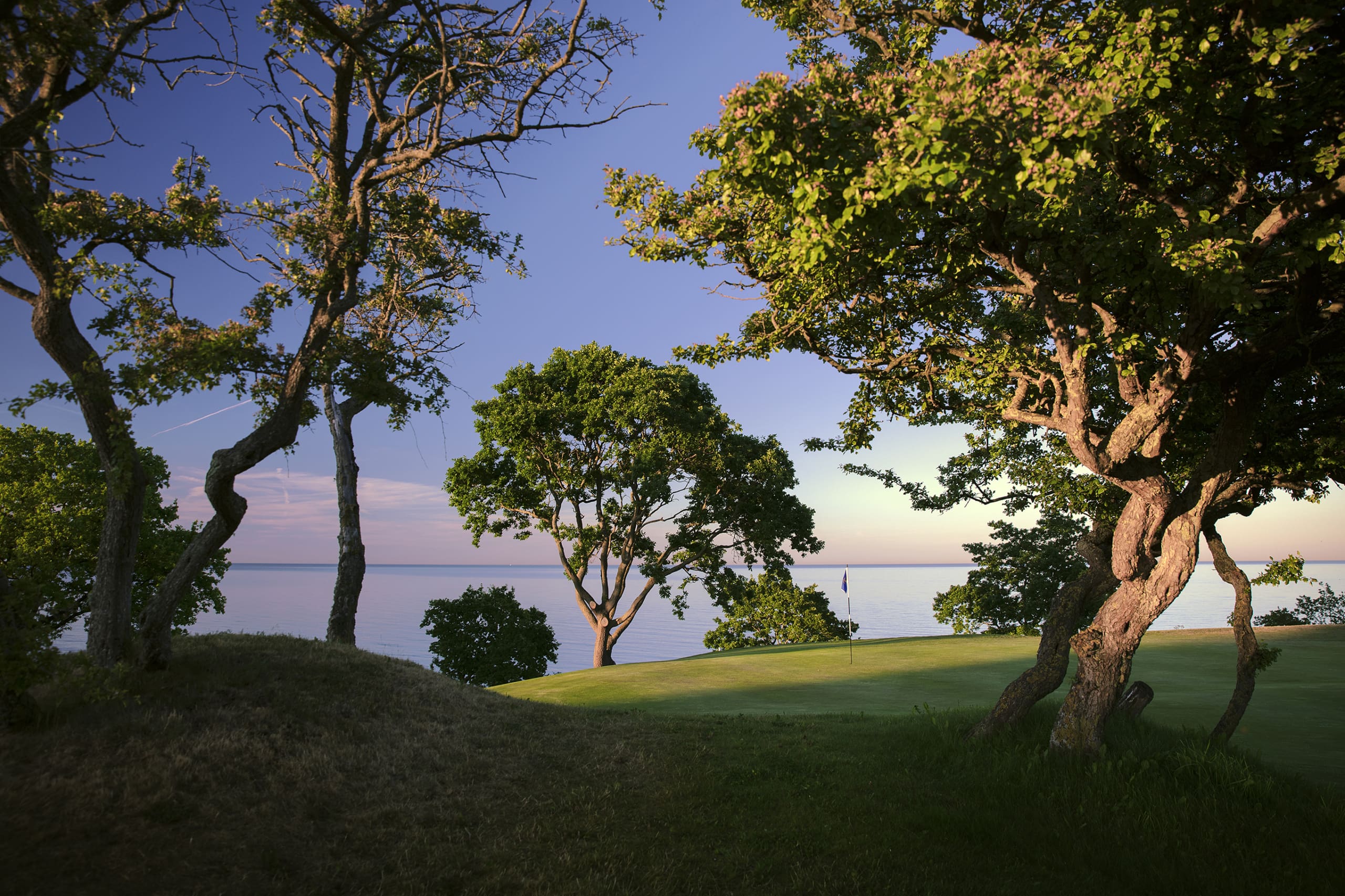 (C) Jacob Sjöman. jacob@sjomanart.com